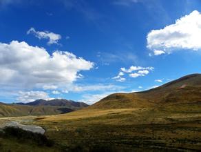 ���ƾż�����Ƶ��Ƶ��������������������Ա������Ҫ���������Ĳ�д...